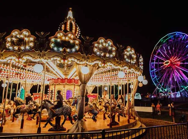 Illuminated carousel with animal figures and a colourful Ferris wheel at Hunter Valley Gardens at night.