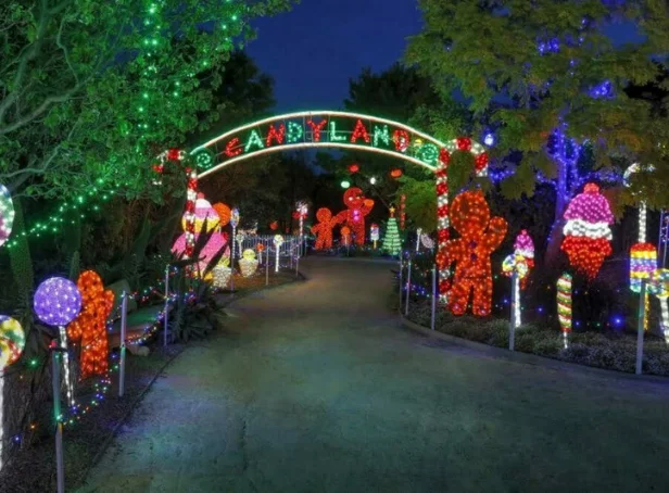 Candyland archway surrounded by illuminated gingerbread figures, candy canes and colourful Christmas displays at Hunter Valley Gardens.